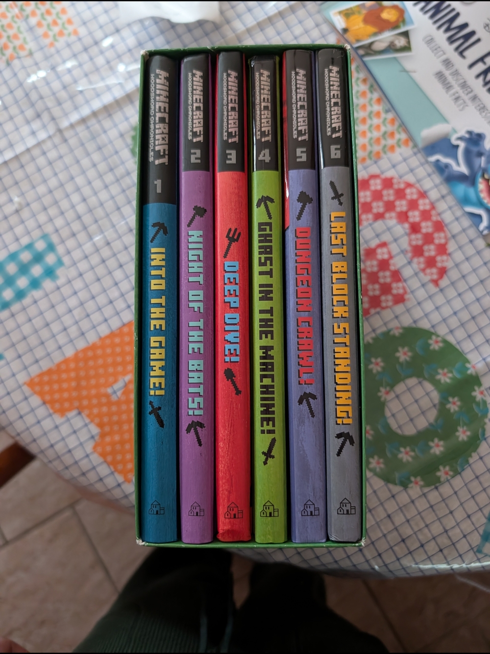 Minecraft Junior Adventure Chapter Boxed Set - Colorful Spined Books